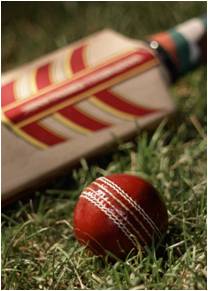 Cricket ball and paddle on the field